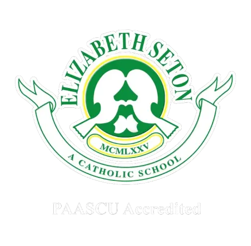 ess paascu transparent removebg preview